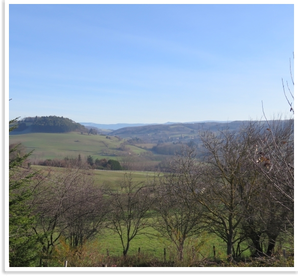 Vue de la terrasse